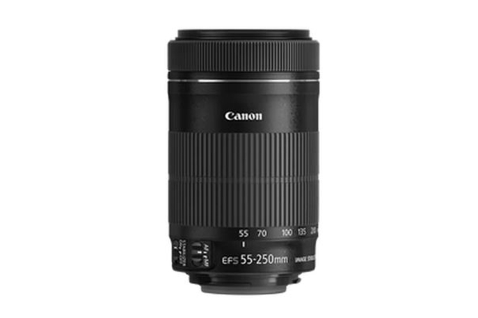 Купить Canon EF-S 55-250mm f4-5,6 IS STM