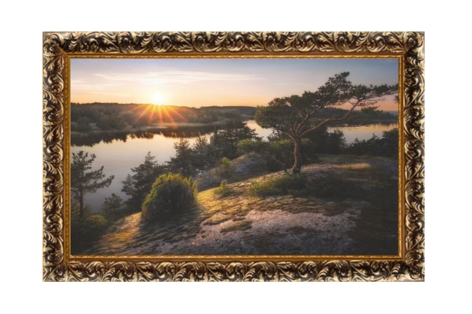 Купить Картина 50х70 [А20Багет#4]