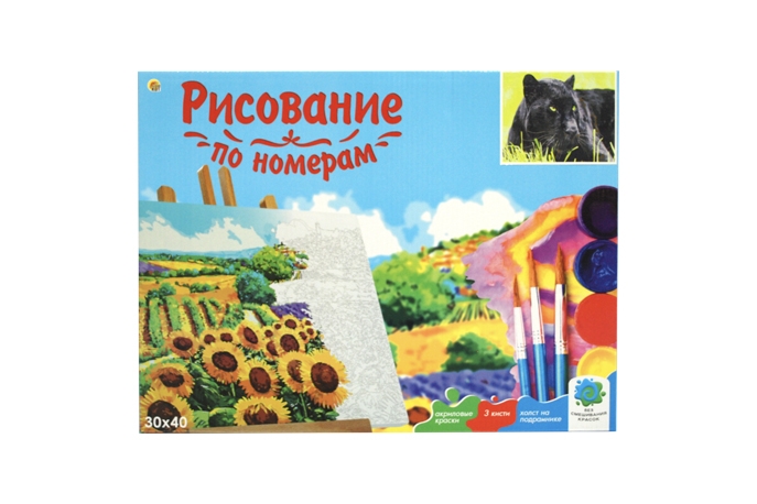 Купить Картина по номерам 30х40 с подрамником [2205]