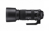 Купить Sigma AF 60-600mm f/4.5-6.3 DG OS HSM Sports for Nikon