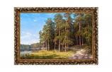 Купить Картина "Сосновый лес" 30х40 [000152]