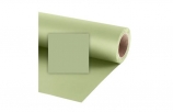 Фон бумажный Raylab 019 Tropical Green светло-зеленый 2.72x11м
